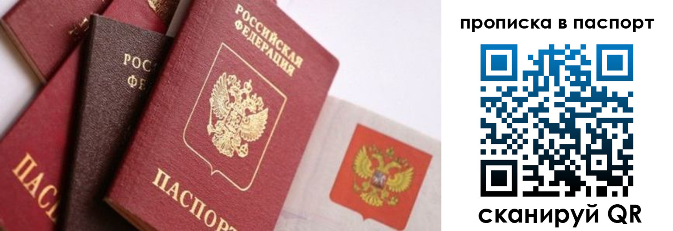 прописка штамп в Невеле